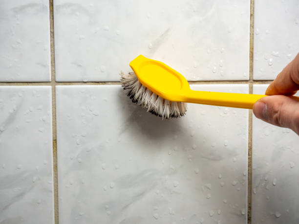 Best Mold Removal Company Near Me  in Duarte, CA