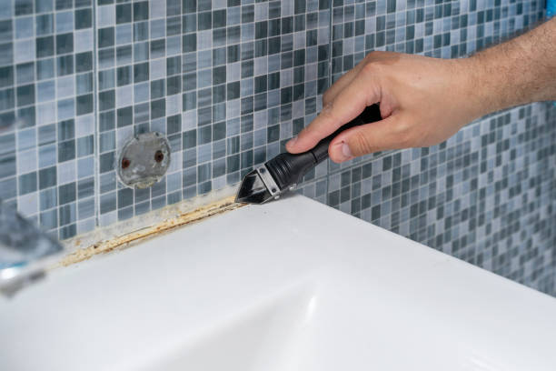 Best Mold Remediation  in Duarte, CA